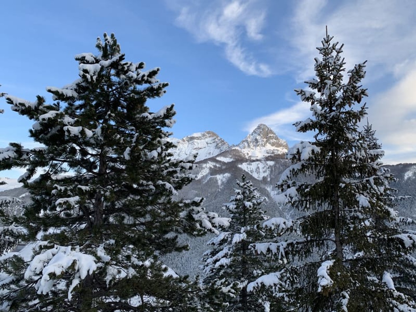 Terrain à vendre - 448m2 - Barcelonnette (04400)