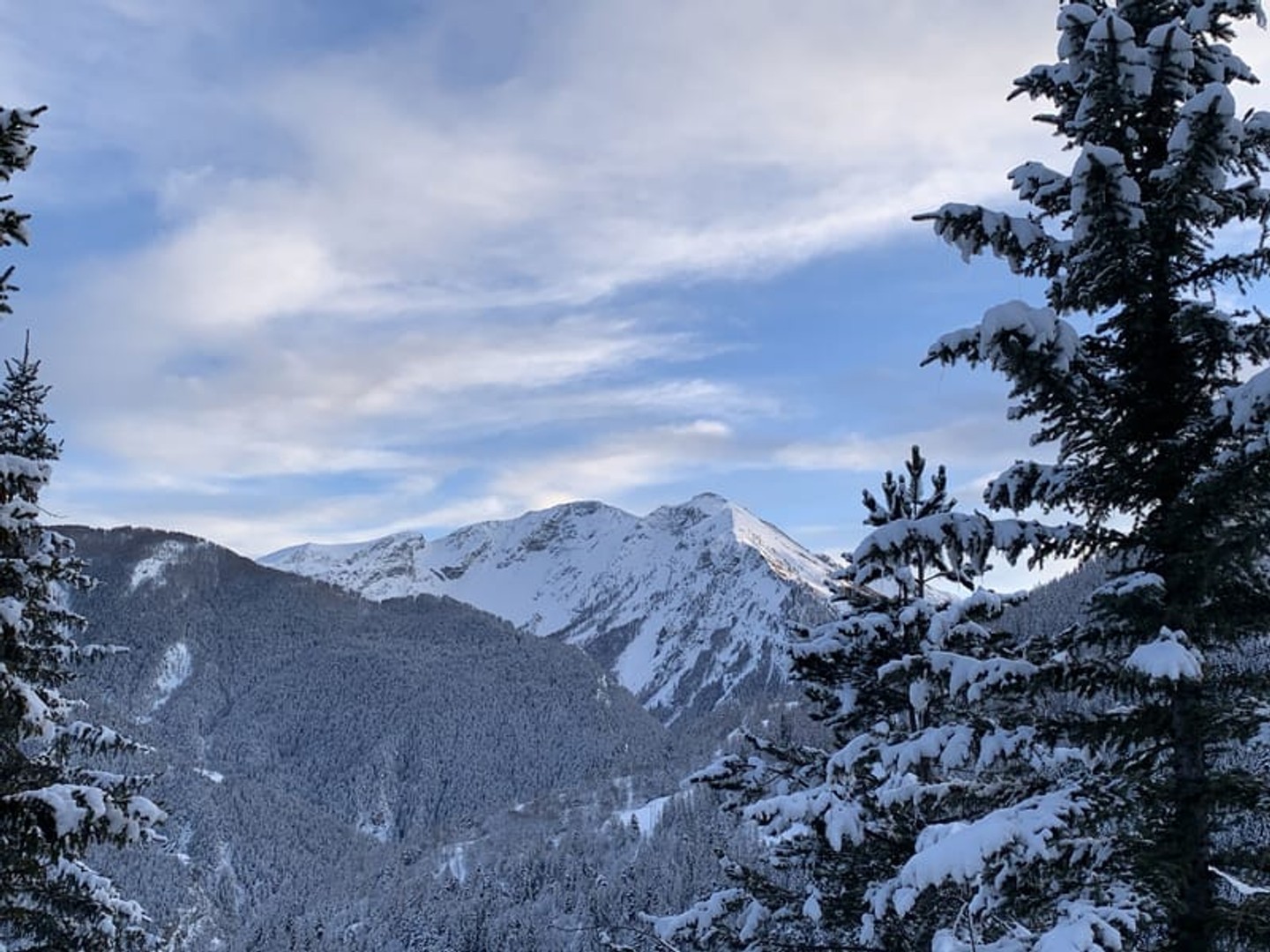 Terrain à vendre - 448m2 - Barcelonnette (04400)