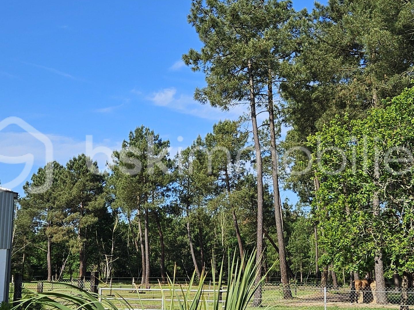 Locaux à vendre - 250m2 - Mios (33380)
