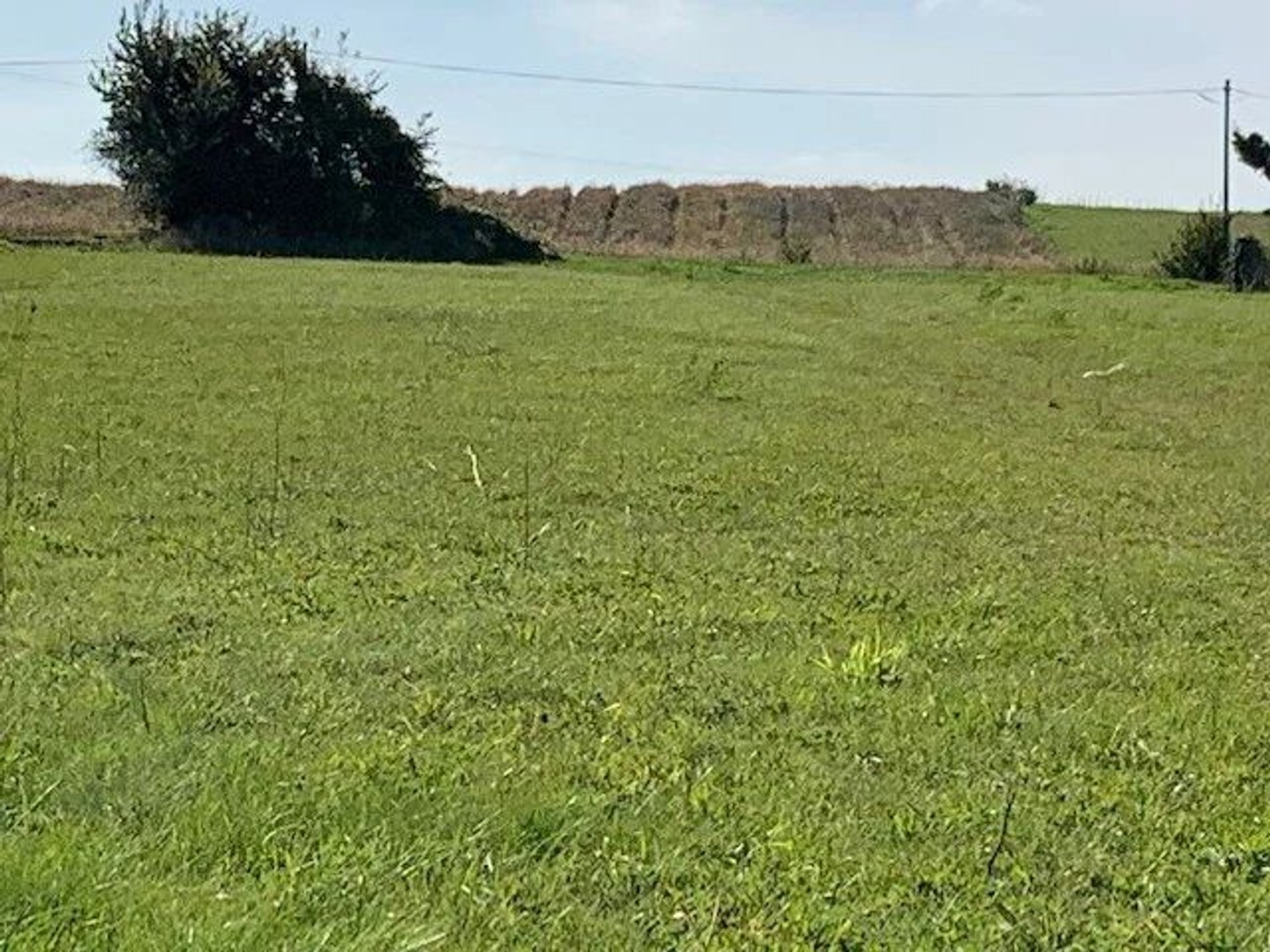 Terrain à vendre - 3070m2 - Tournecoupe (32380)