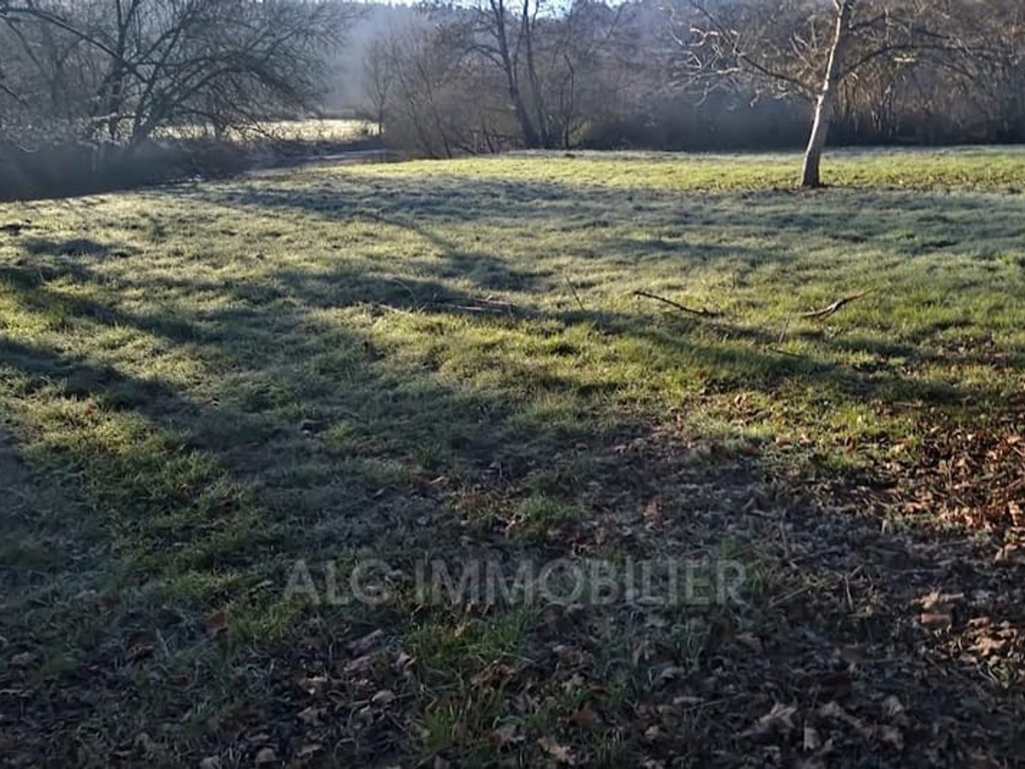 Terrain à vendre - 5690m2 - Saint-Léonard-Des... (72130)