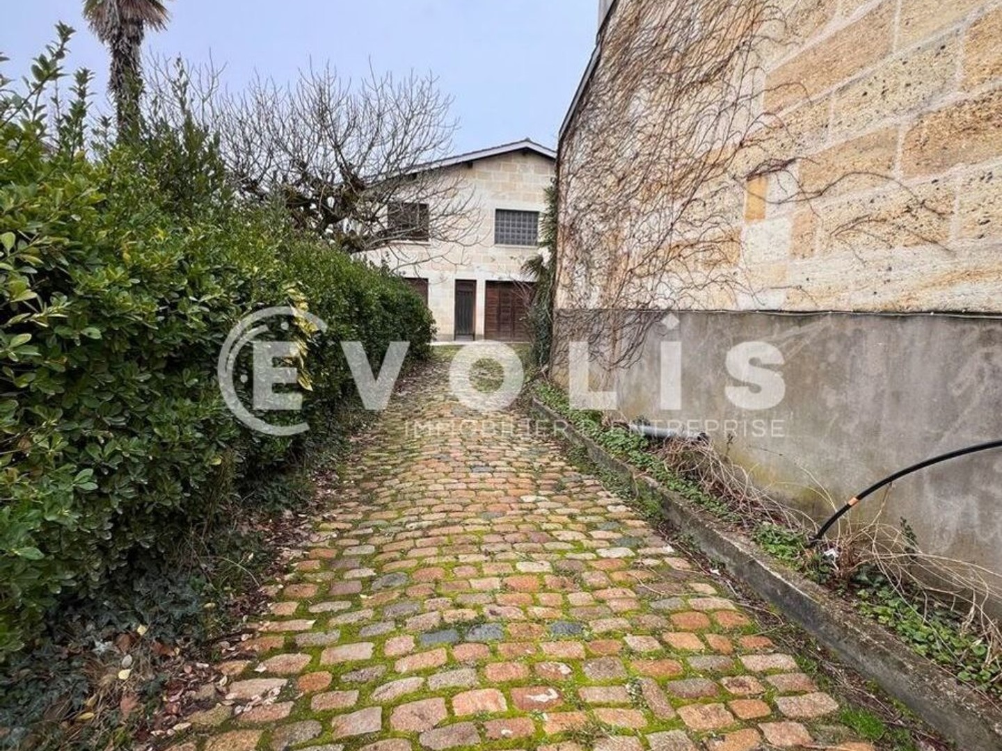 Bureaux à vendre - 250m2 - Le Bouscat (33110)