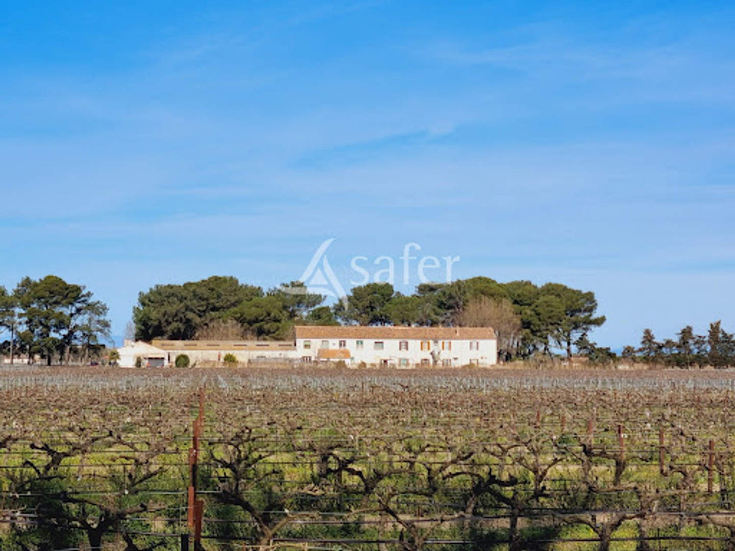 Maison à vendre - 675m2 - Aigues-Mortes (30220)