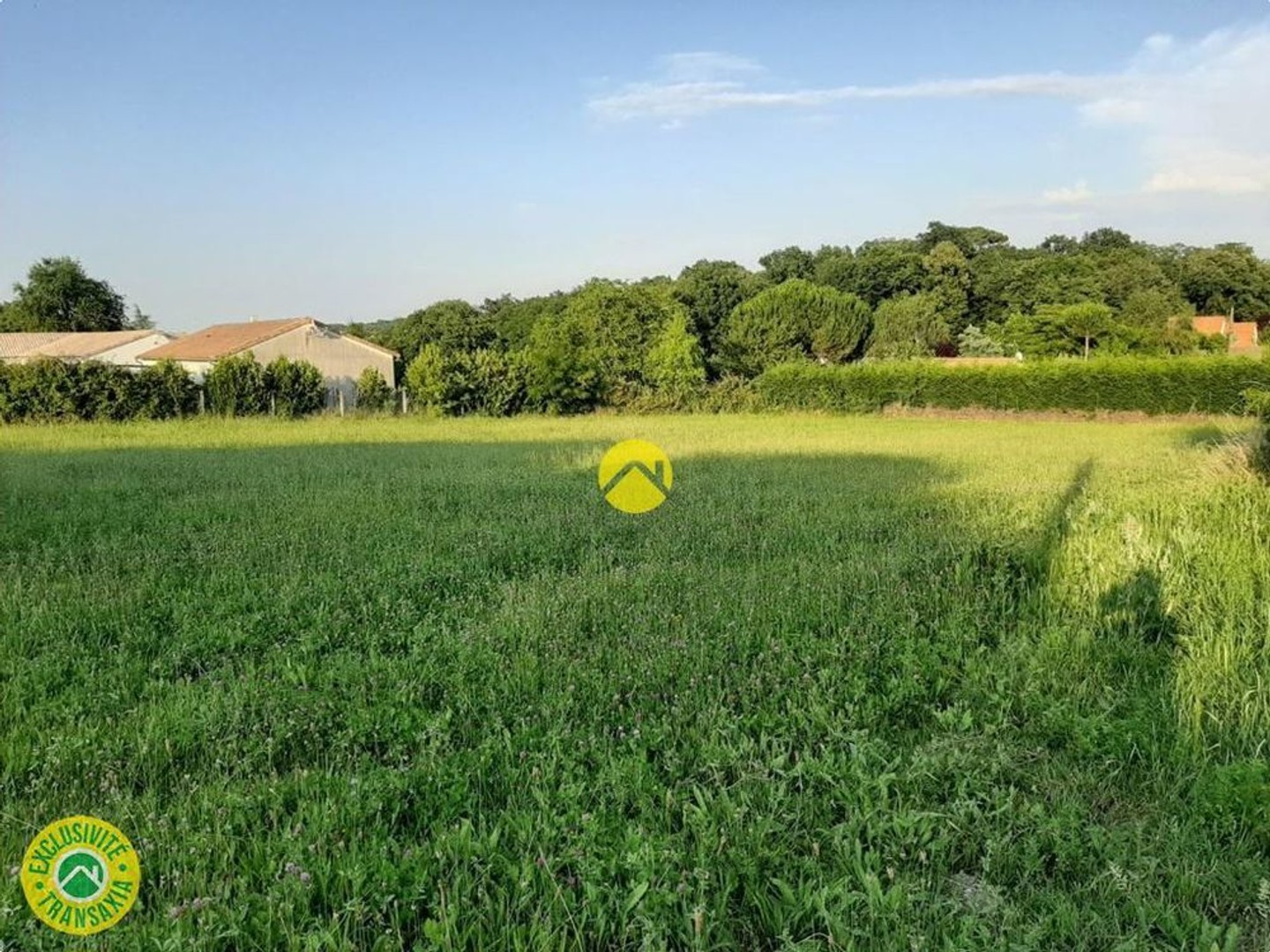 Terrain à vendre - 5145m2 - Sainte-Gemme-En-S... (18240)