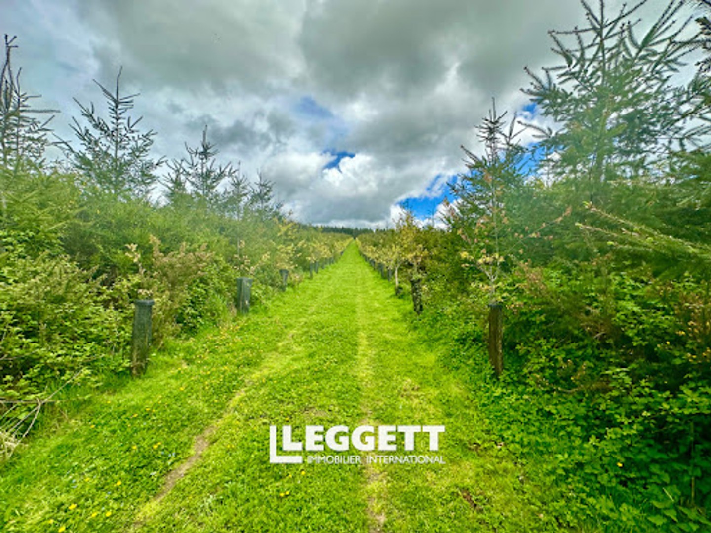 Terrain 500000 m²