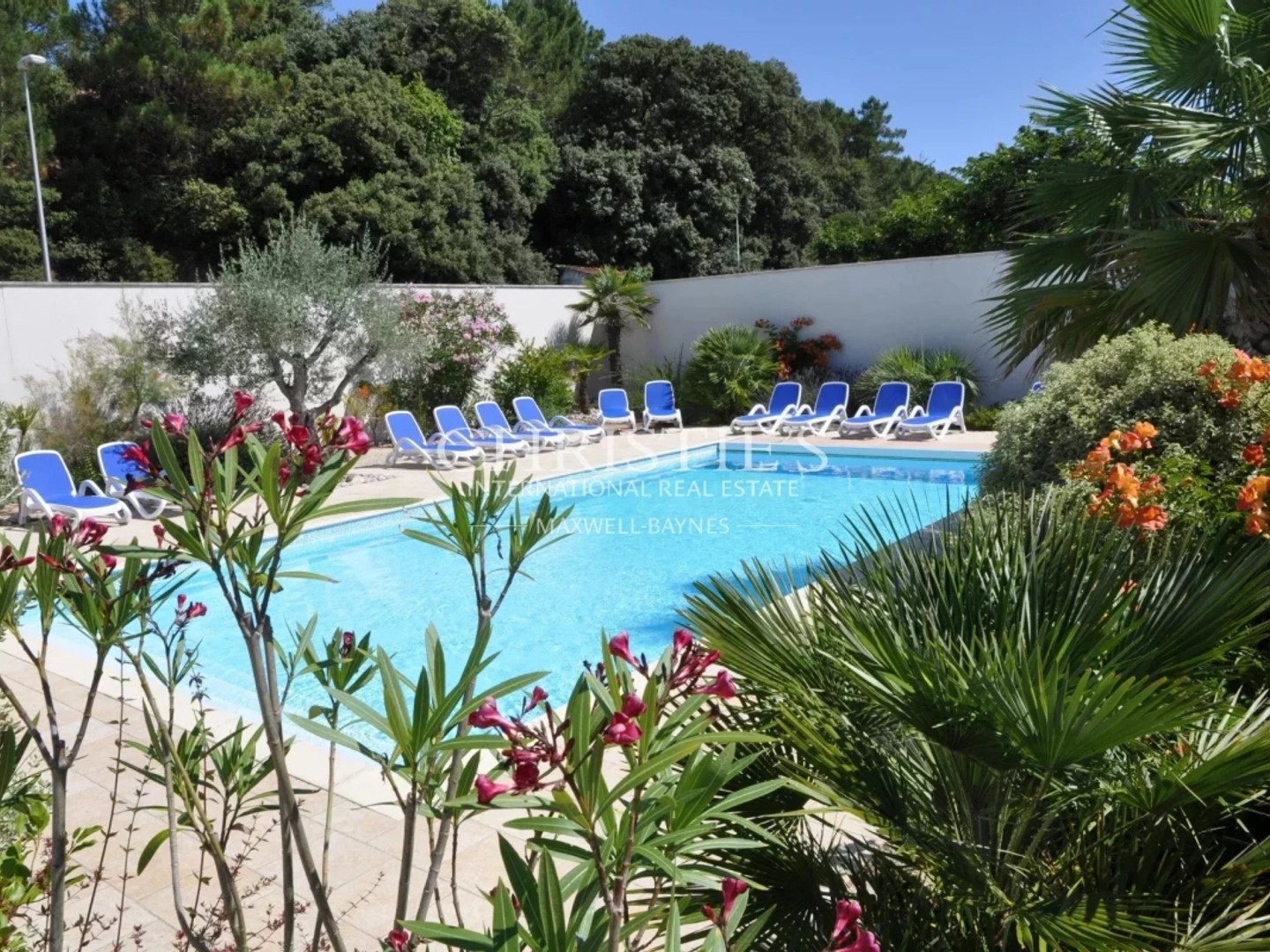 Saint-Georges-d'Oléron - Propriété d'exception composée de 6 Gîtes avec piscine, à deux pas de la plage