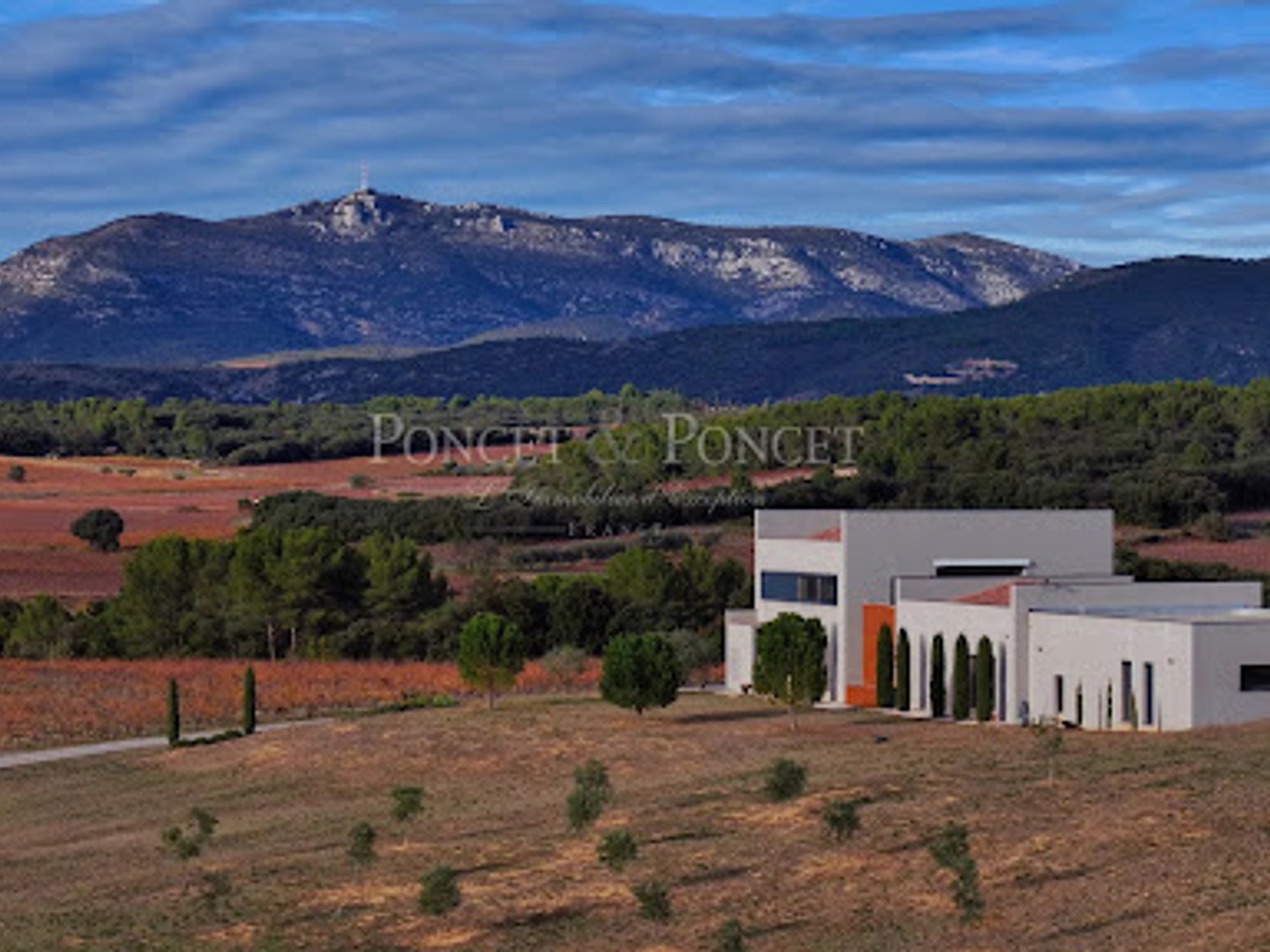 Terrain à vendre - 150000m2 - Montpeyroux (34150)