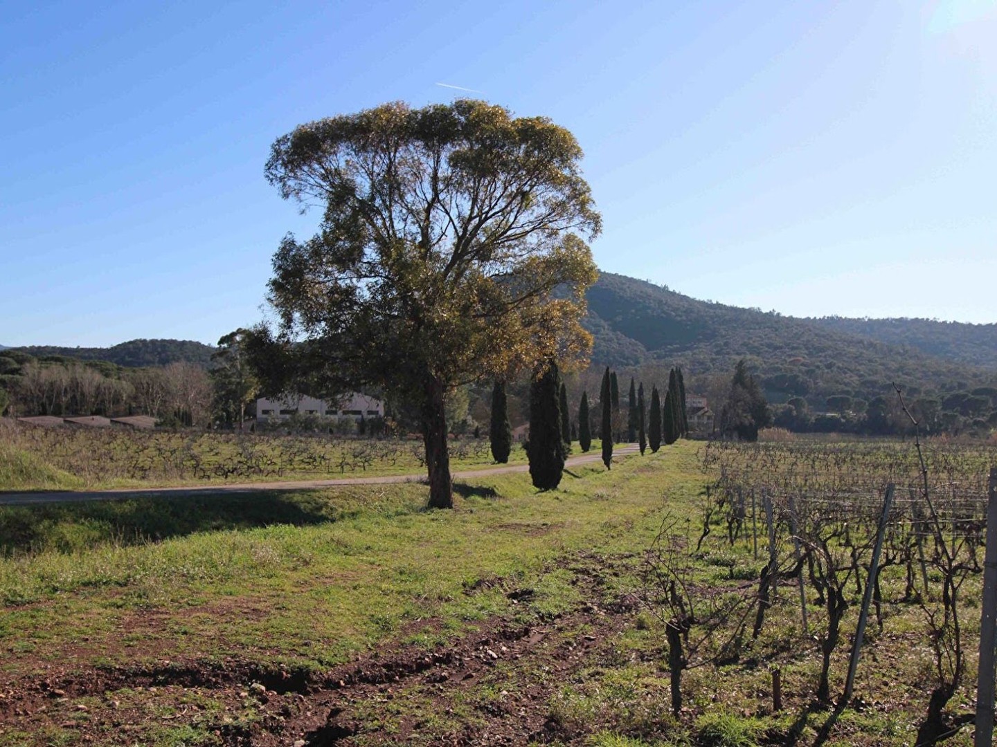 Maison à vendre - 10 pièces - 2000m2 - Draguignan (83300)