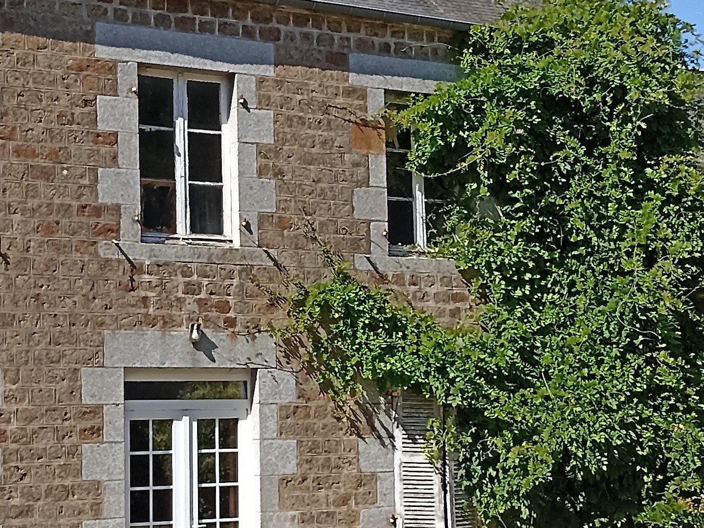 Maison à vendre - 6 pièces - 132m2 - Saint-Hilaire-Du-... (50600)