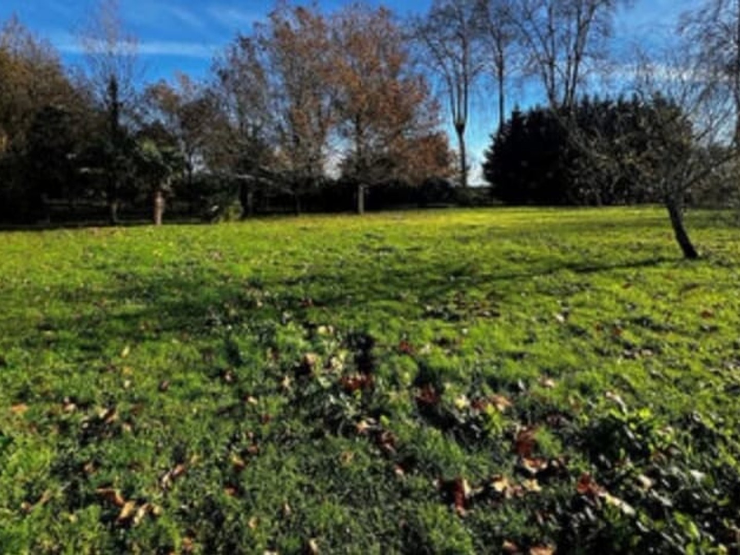 Maison à vendre - 5 pièces - 90m2 - Chelles (77500)