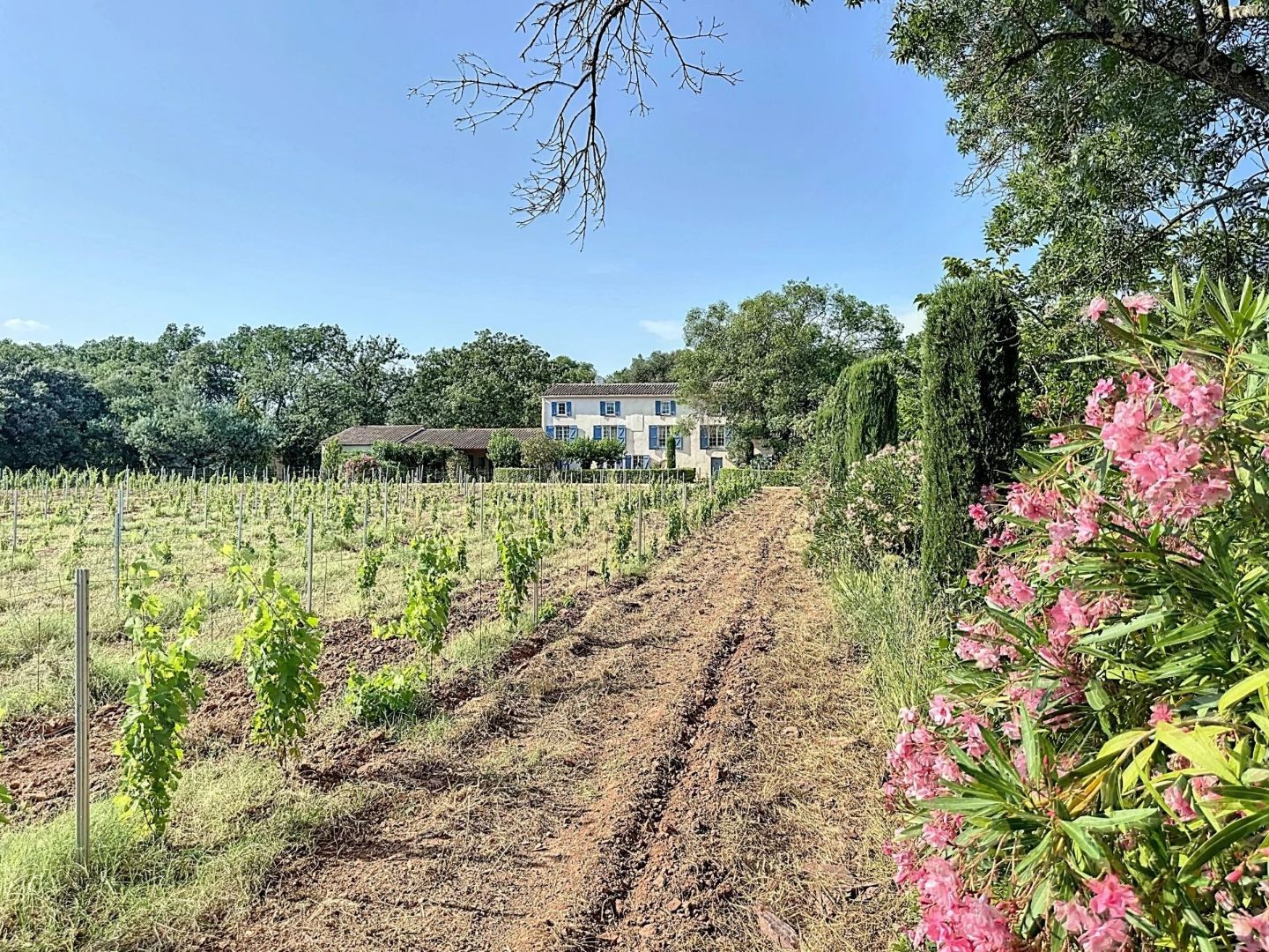 Autre à vendre - 14 pièces - 630m2 - Le Cannet-Des-Maures (83340)