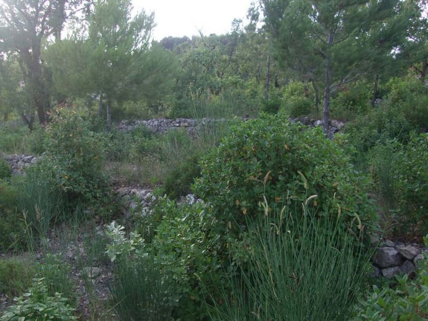 Terrain à vendre - 1214m2 - Cuers (83390)