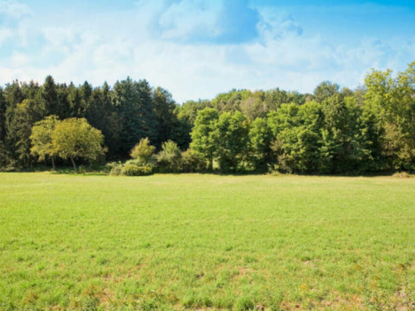 Terrain 3138 m²