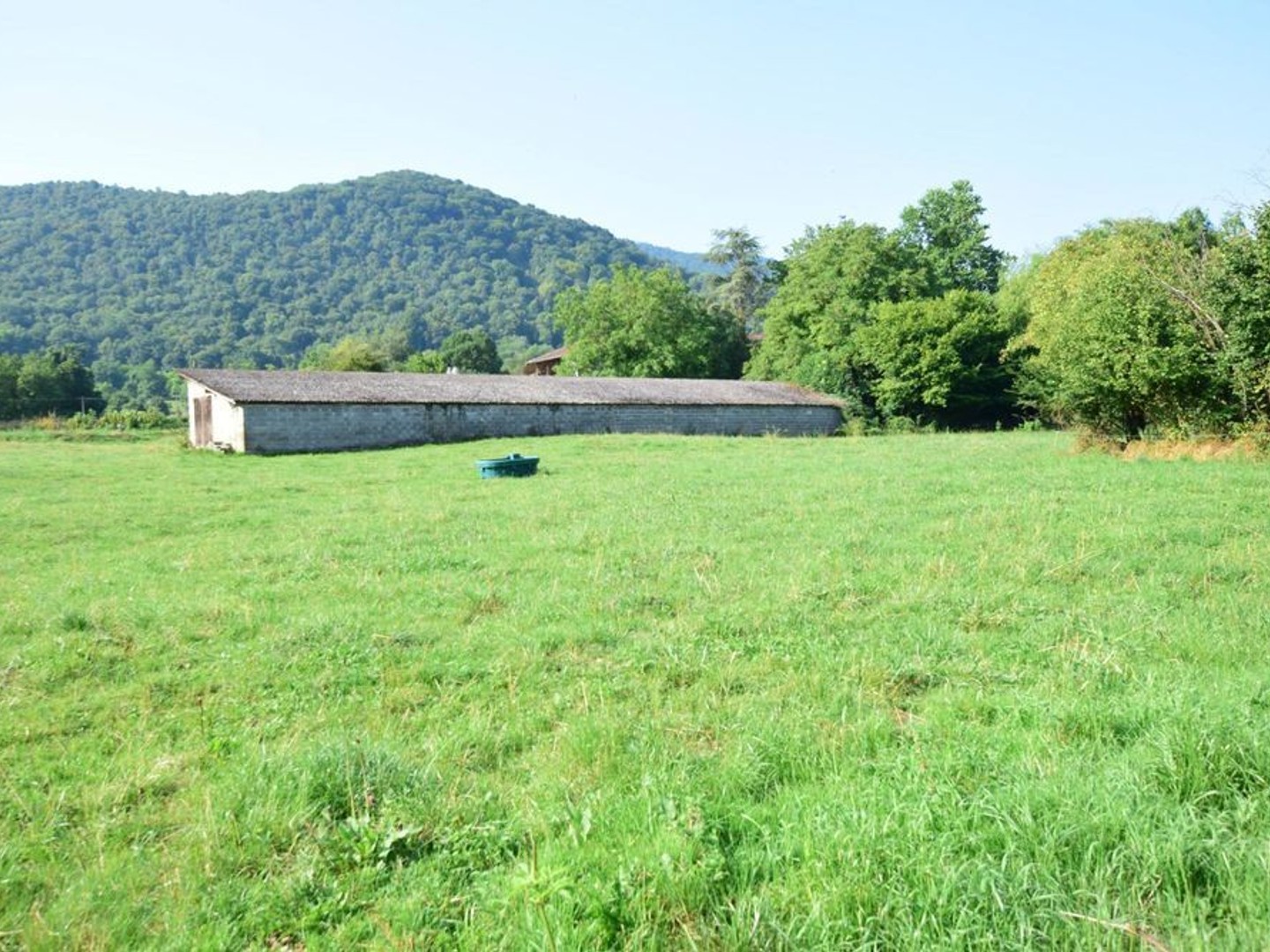 Terrain à vendre - 3600m2 - Salies-Du-Salat (31260)
