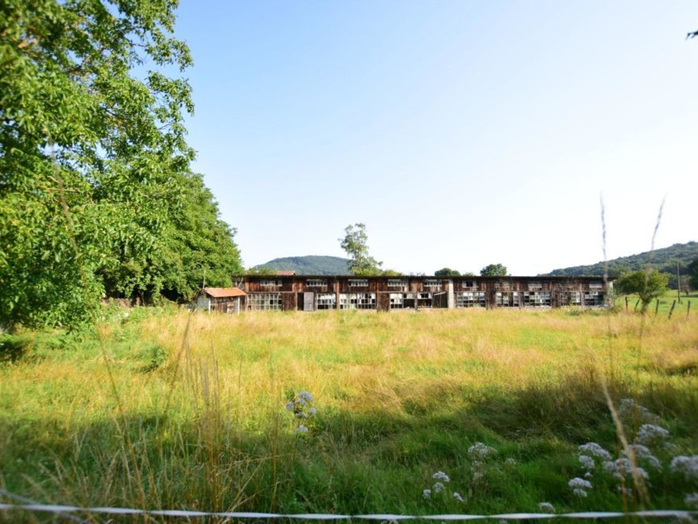 Terrain à vendre - 3600m2 - Salies-Du-Salat (31260)
