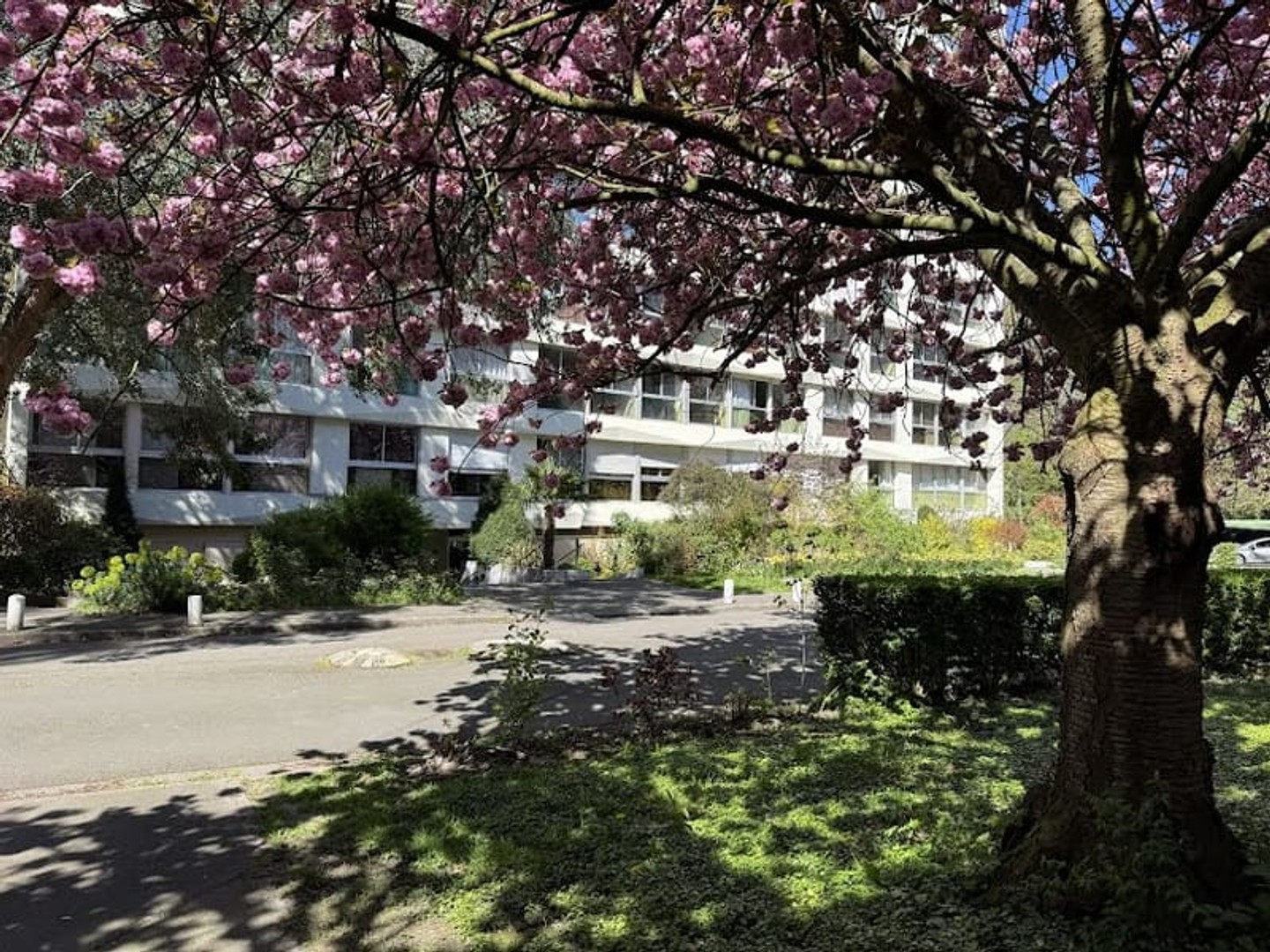 Appartement 4 pièces 91 m²
