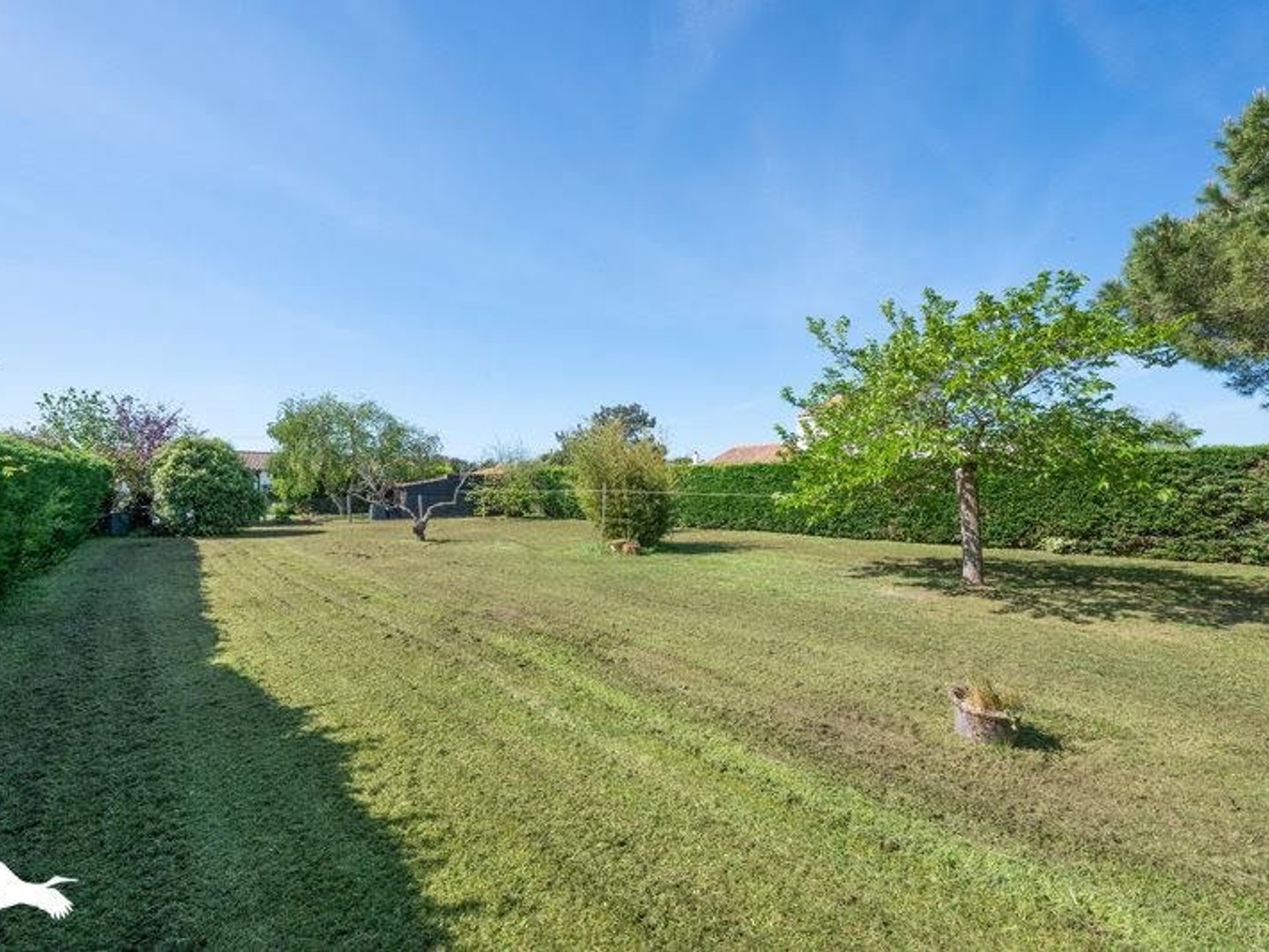 Maison à vendre - 5 pièces - 105m2 - Saint-Georges-D'o... (17190)