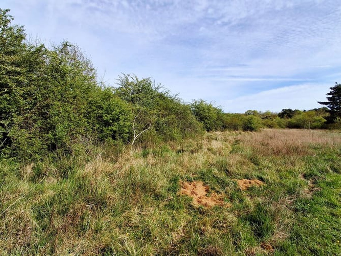 Terrain à vendre - 4200m2 - Bagneaux-Sur-Loing (77167)