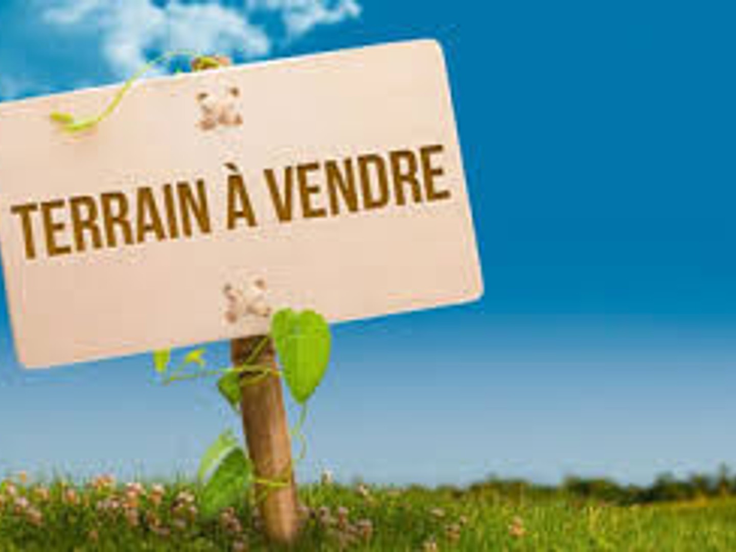 Terrain à vendre - 1015m2 - Nassiet (40330)