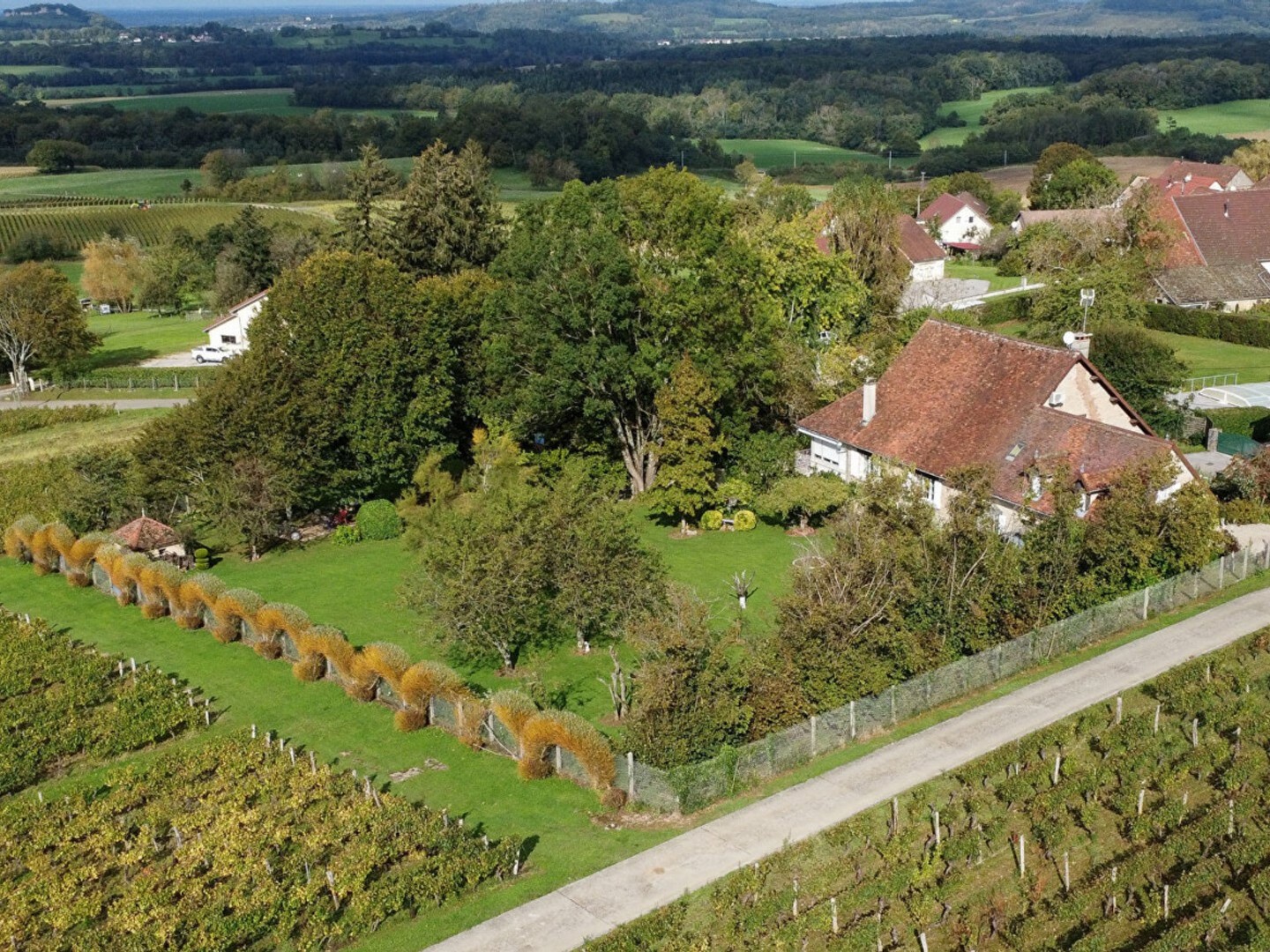MAISON VIGNERONNE À VOITEUR
