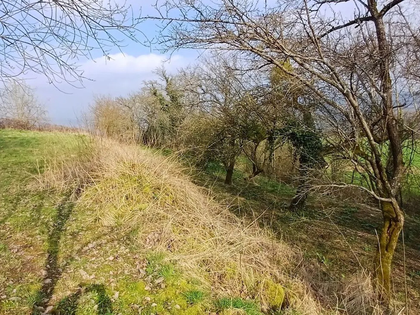 Terrain à vendre - 1356m2 - Mousson (54700)