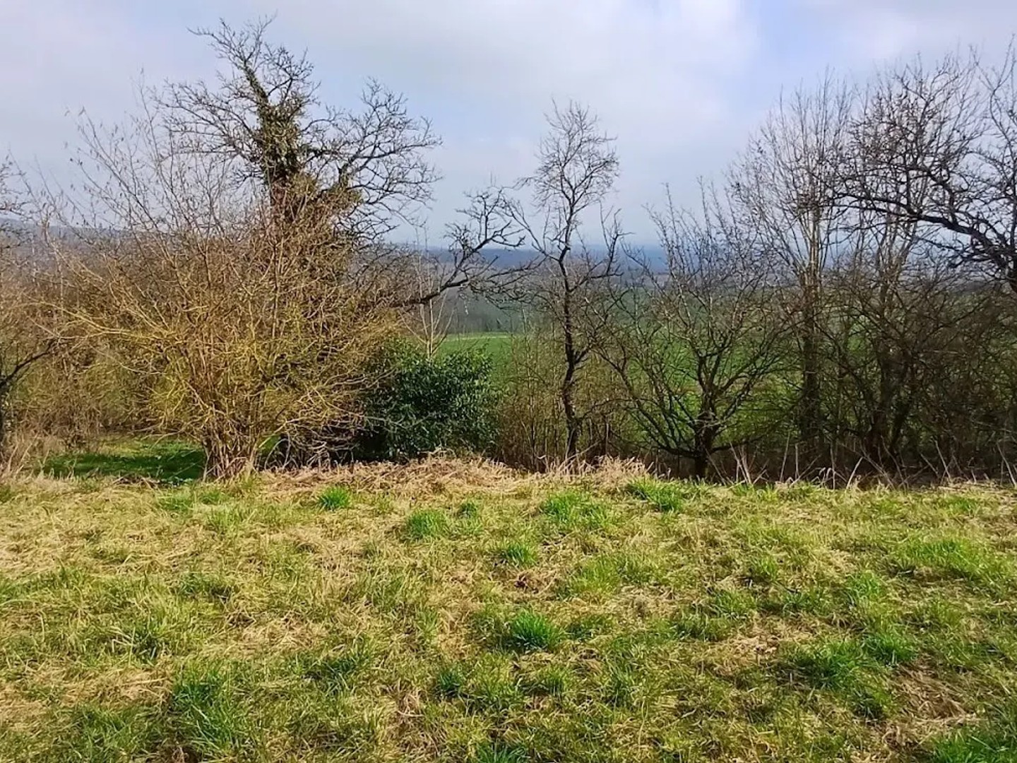 Terrain à vendre - 1356m2 - Mousson (54700)