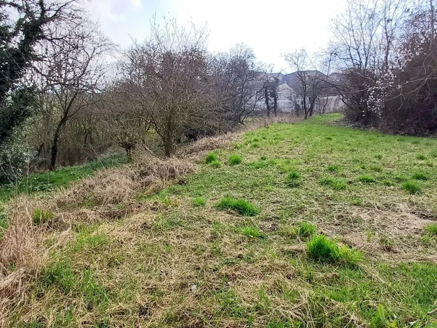 Terrain à vendre - 1356m2 - Mousson (54700)