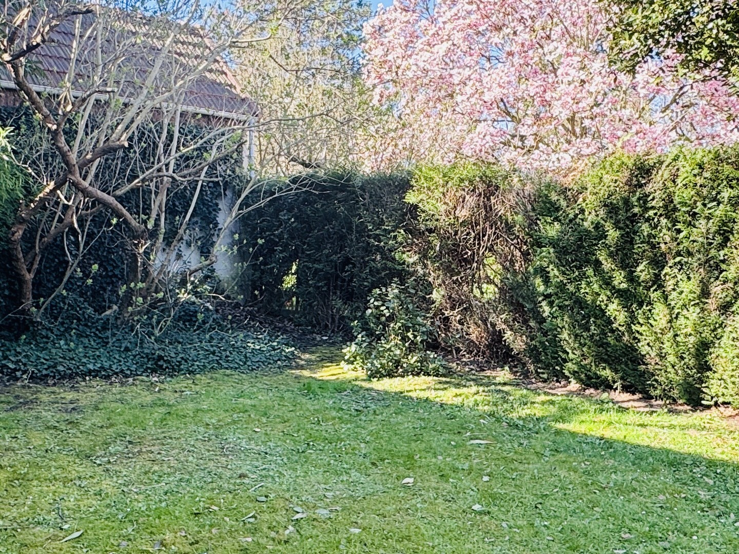 Maison à vendre - 5 pièces - 200m2 - Châtillon (92320)