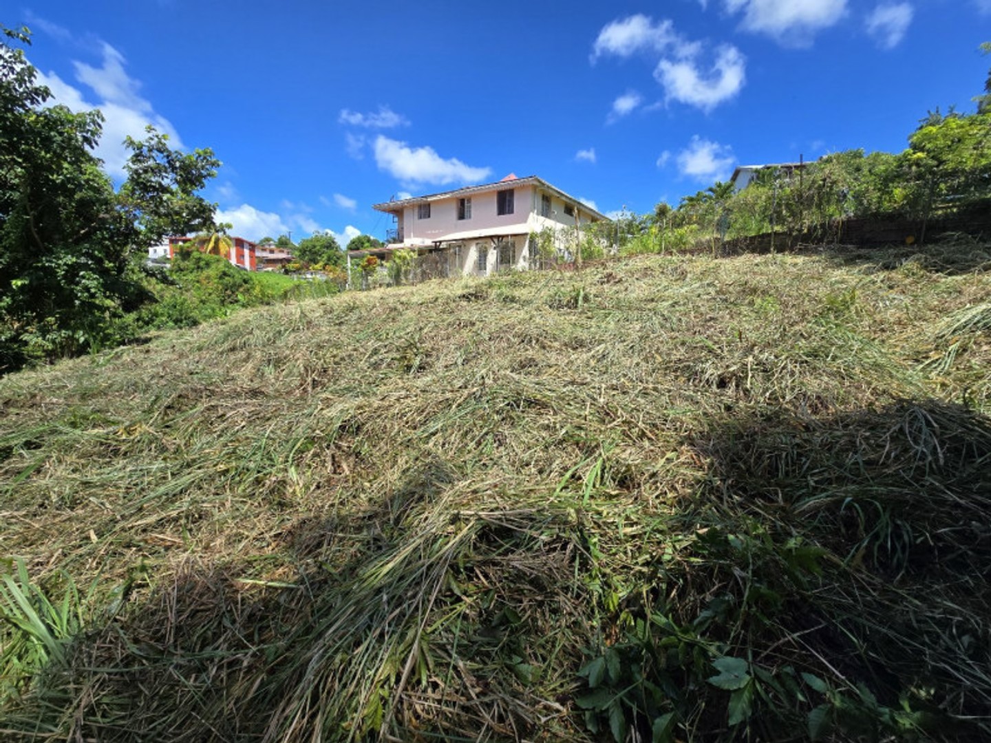 Terrain à vendre - 300m2 - Rivière-Salée (97215)