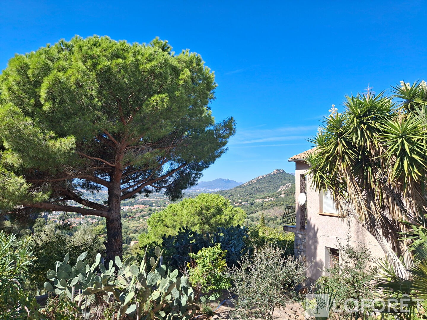 Maison à vendre - 8 pièces - 180m2 - Hyères (83400)