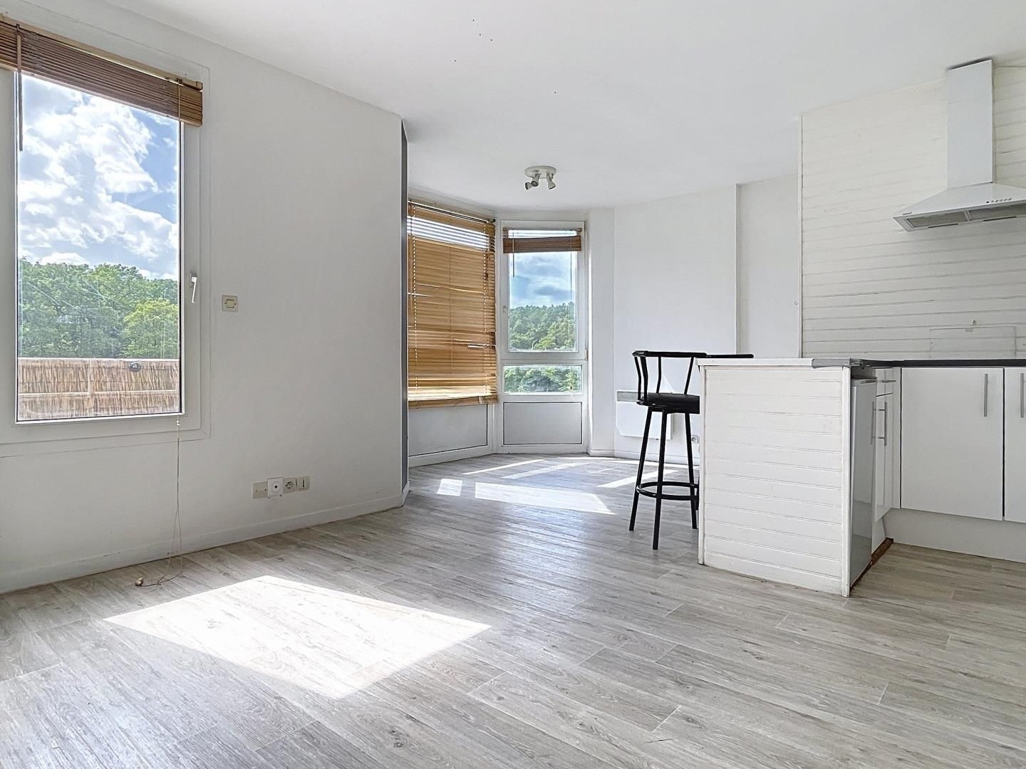 Appartement 1 pièce 29 m²