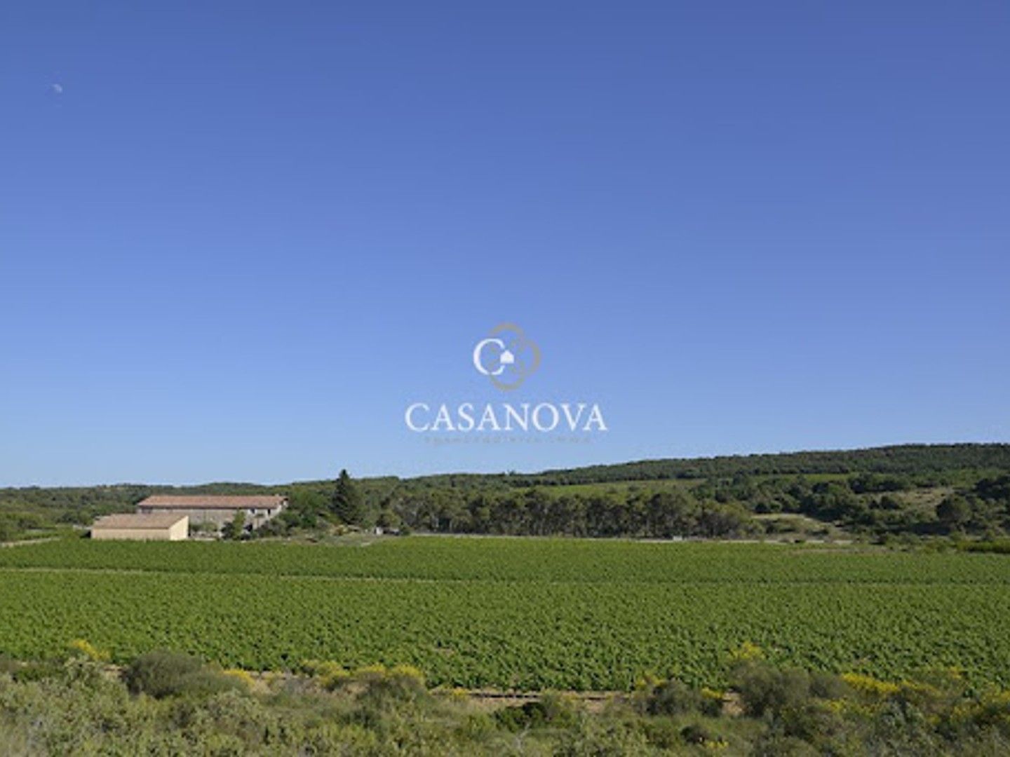 Terrain à vendre - 190000m2 - Montpellier (34000)
