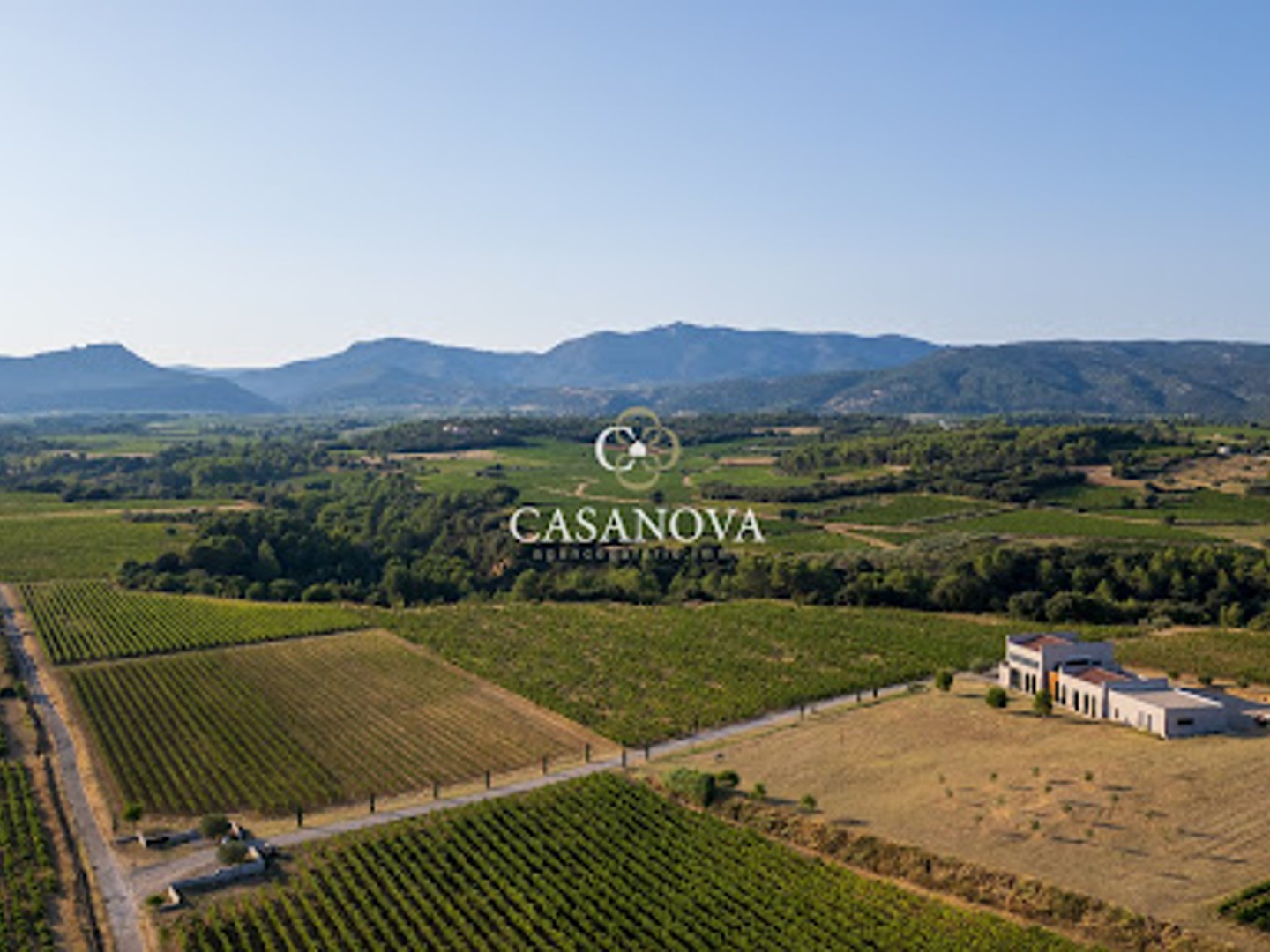 Vignoble 135000 m²