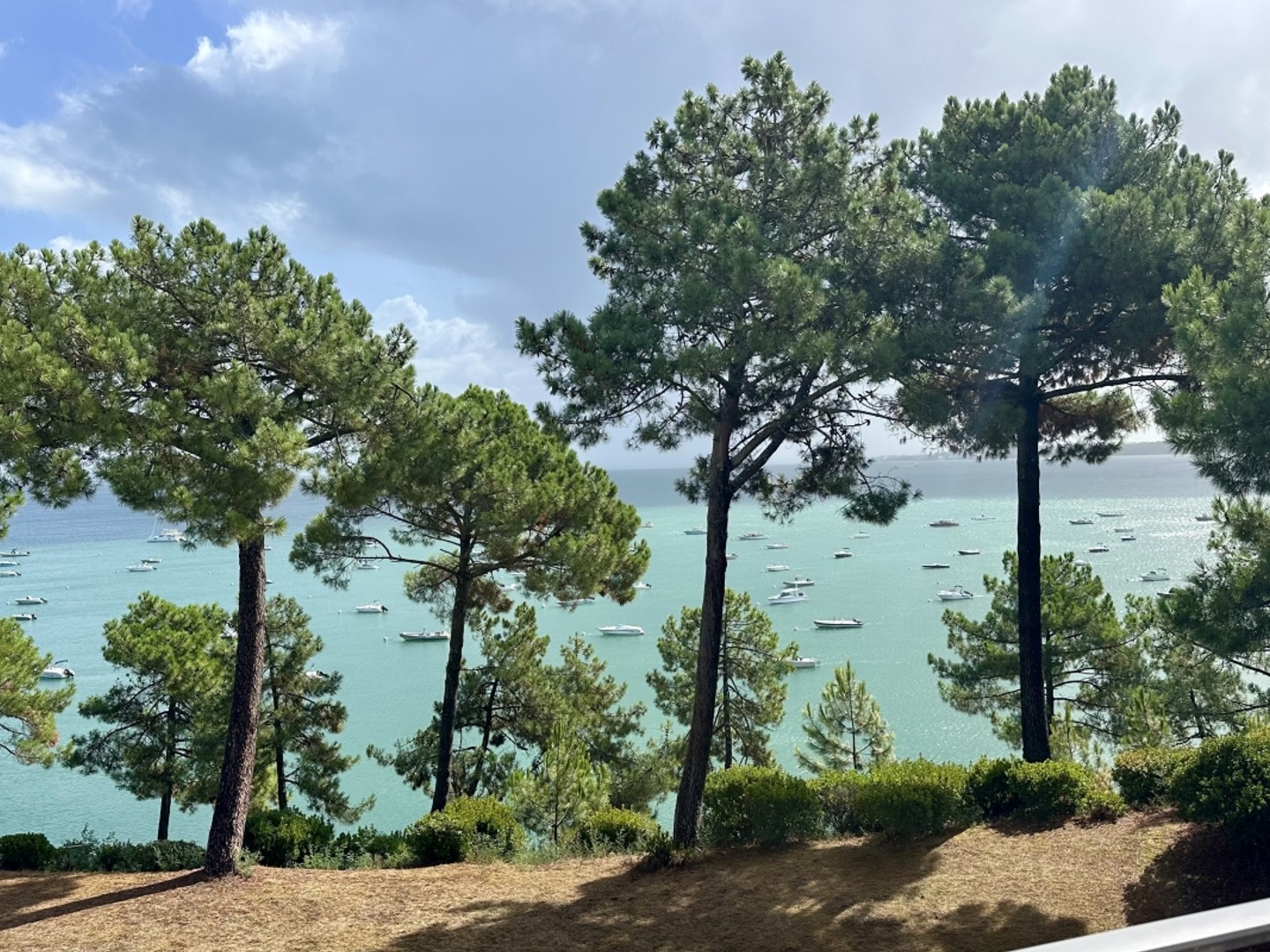 Cap-Ferret en 1ère ligne, superbe appartement d'architecte en prise directe avec le bassin
