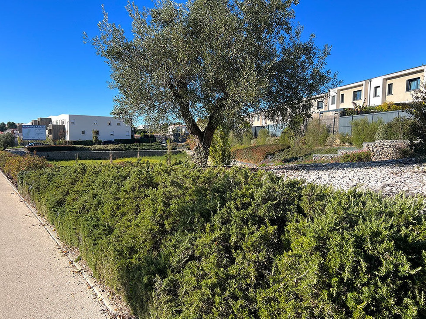 Terrain à vendre - 503m2 - Grabels (34790)