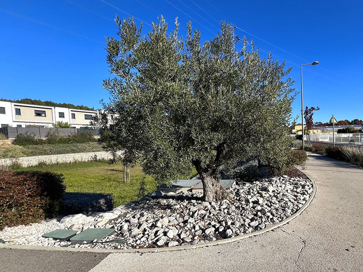 Terrain à vendre - 503m2 - Grabels (34790)