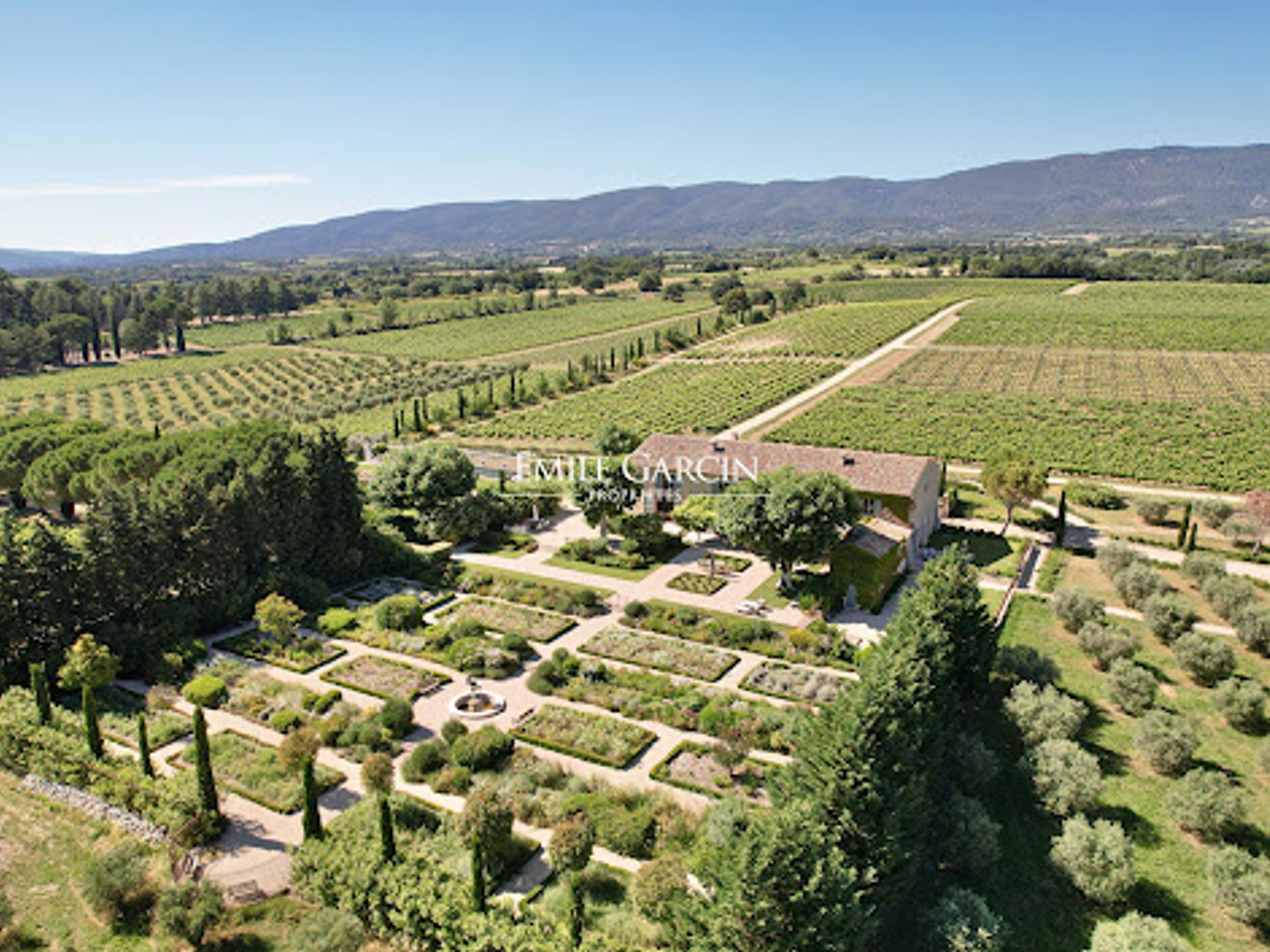 Vignoble 250000 m²