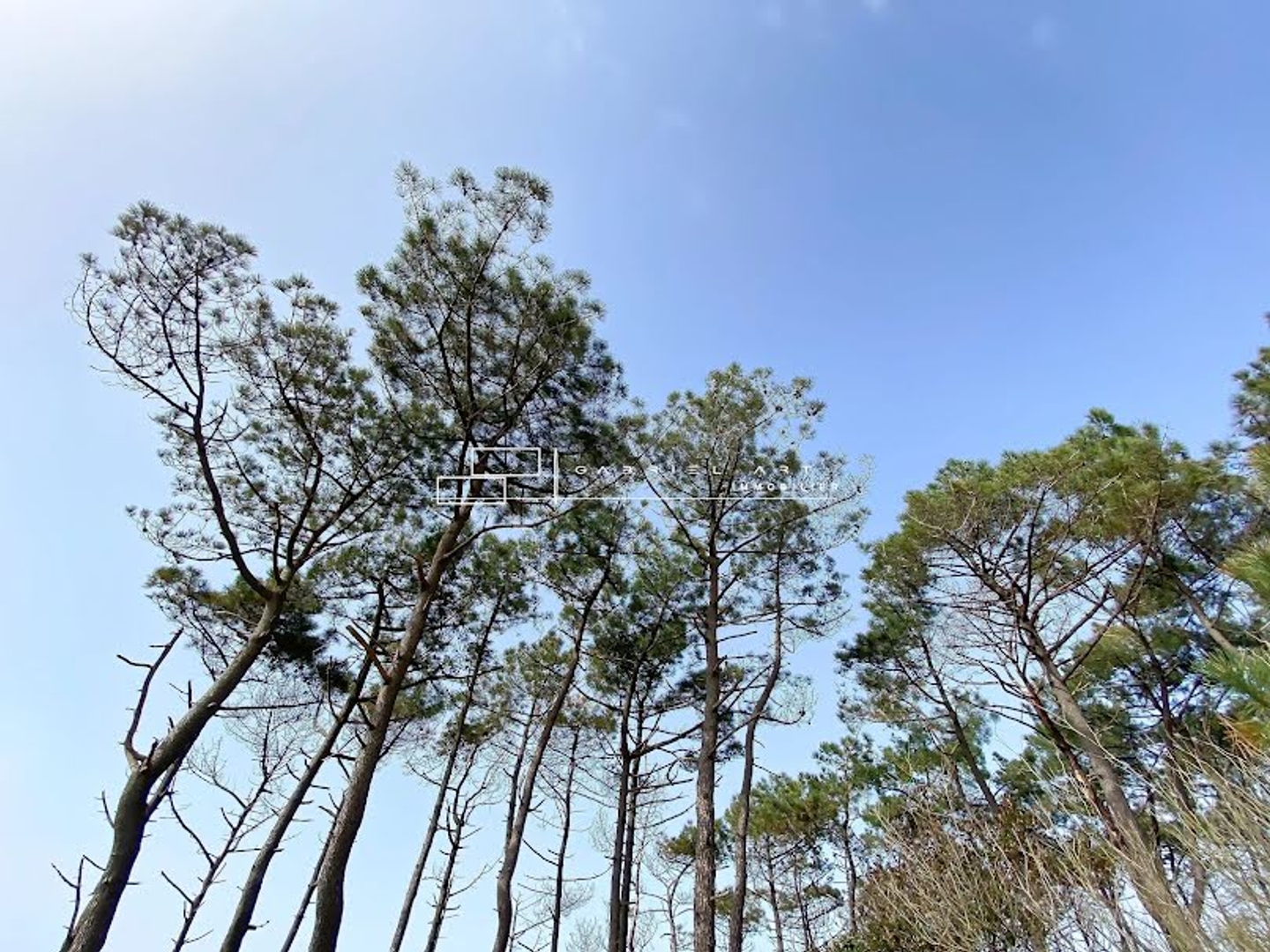 Maison à vendre - 4 pièces - 93m2 - Capbreton (40130)