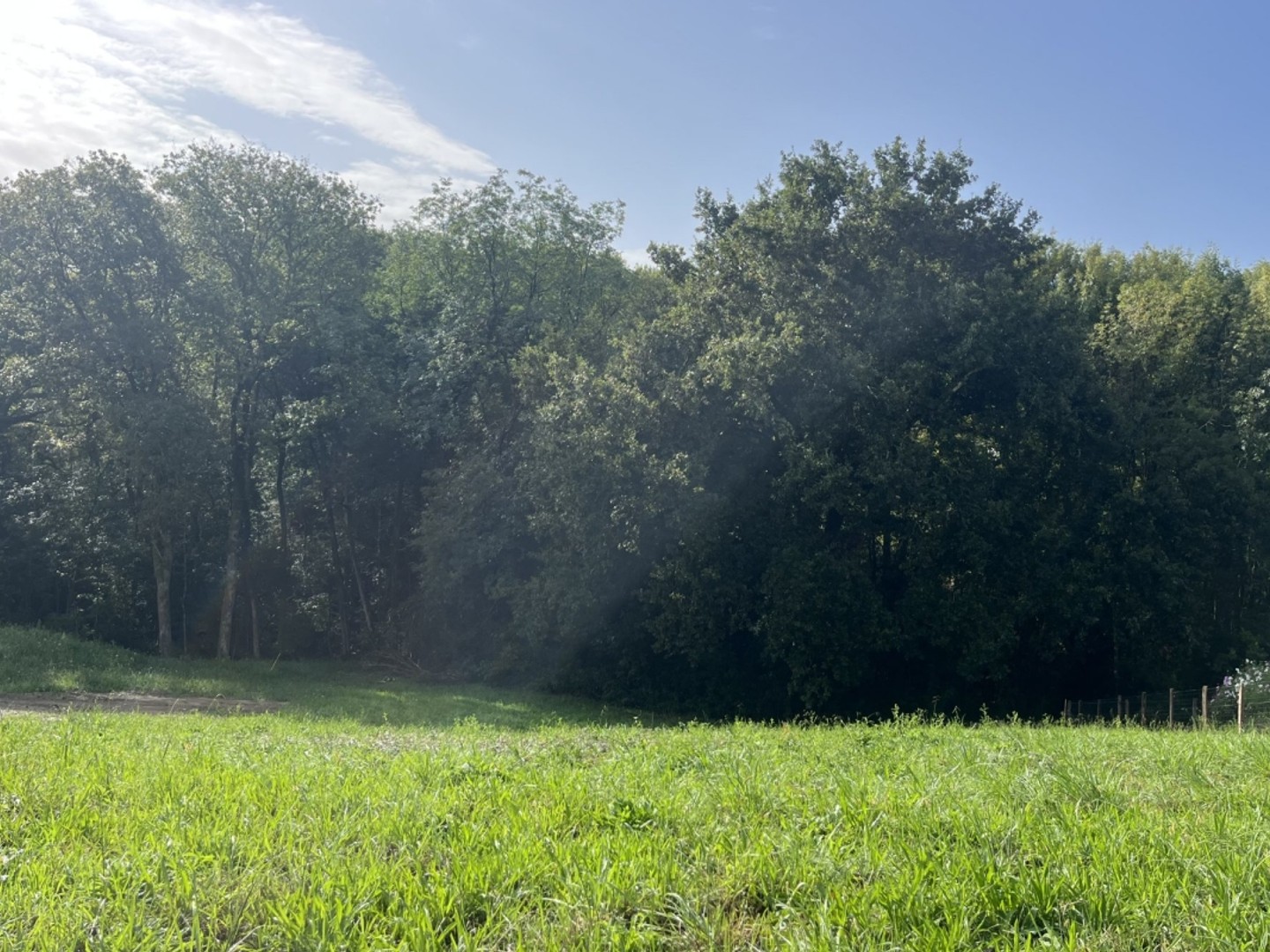 Terrain à vendre - 1138m2 - Arcangues (64200)