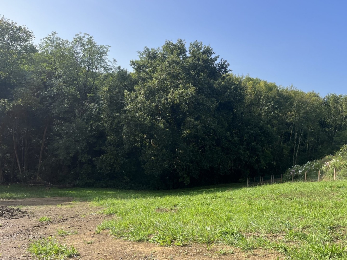 Terrain à vendre - 1138m2 - Arcangues (64200)