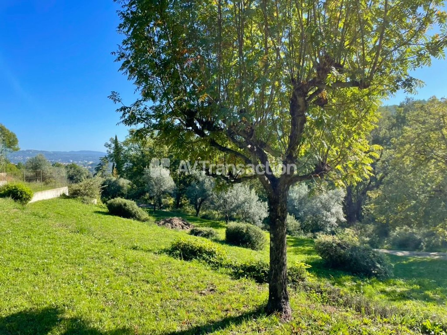 Maison à vendre - 6 pièces - 220m2 - Draguignan (83300)