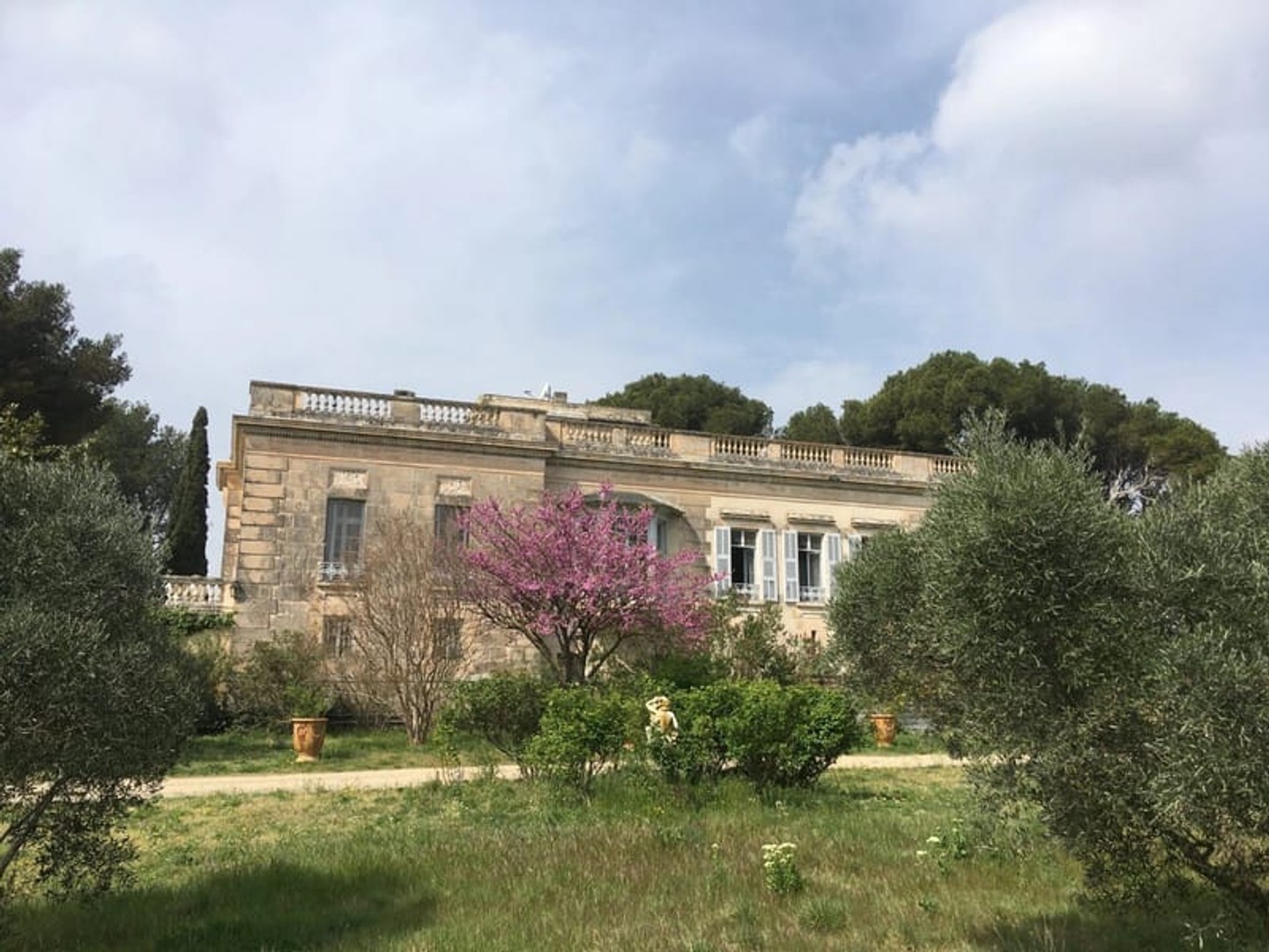Proche Avignon propriété sur 12 hectares