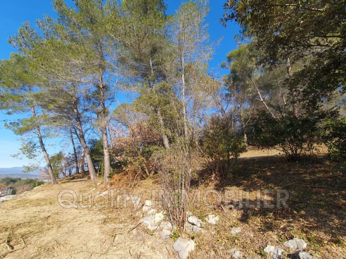 Terrain à vendre - 2502m2 - Montauroux (83440)
