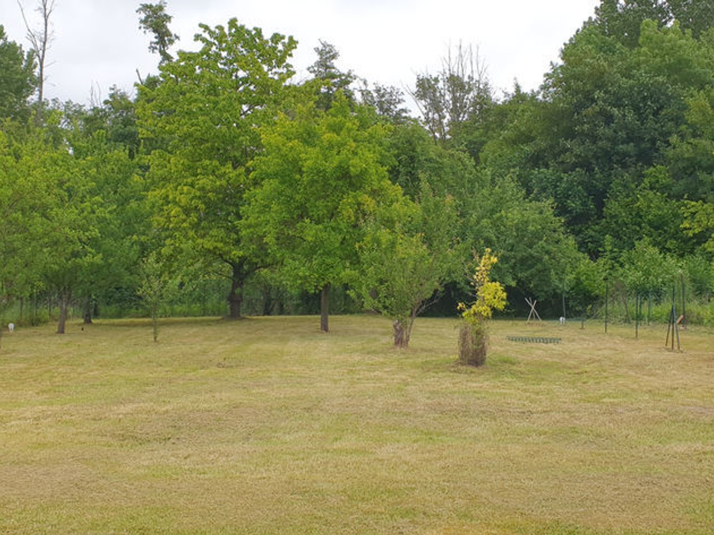Terrain à vendre - 482m2 - Vadenay (51400)