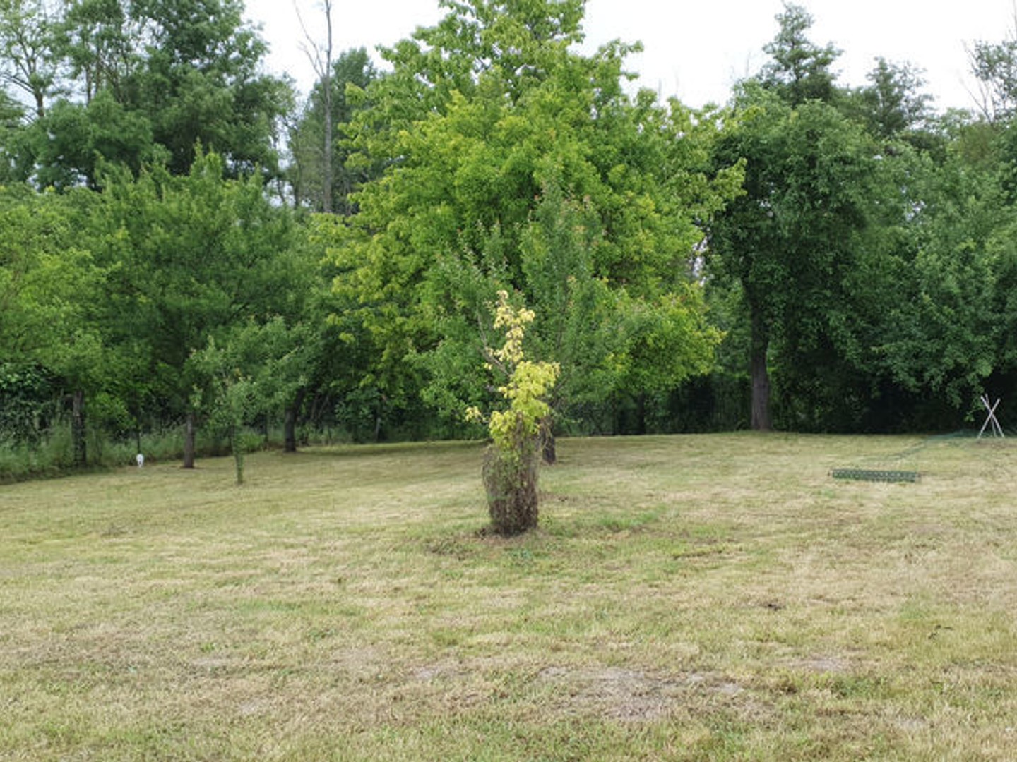 Terrain à vendre - 482m2 - Vadenay (51400)