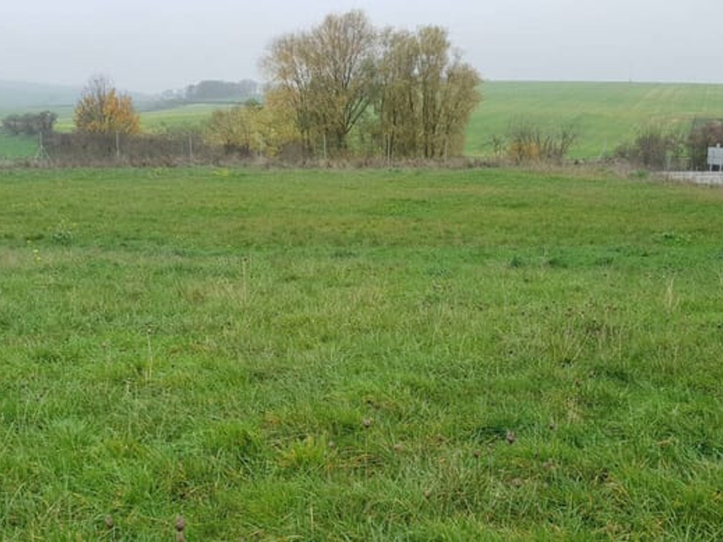 Terrain à vendre - 7346m2 - Saint-Georges (57830)