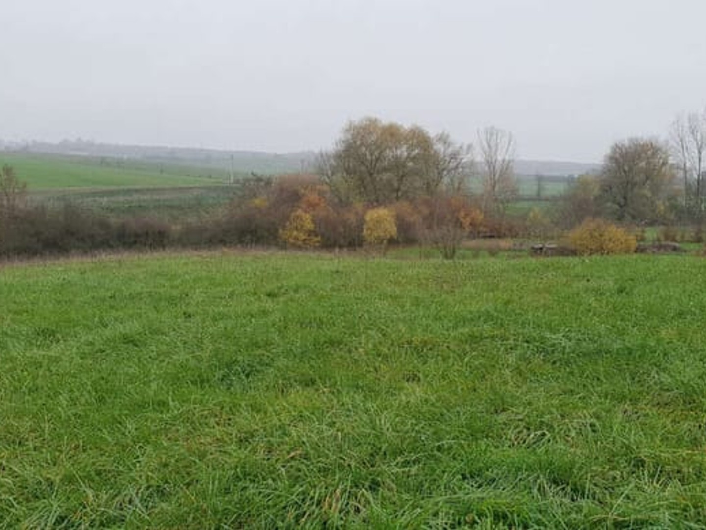 Terrain à vendre - 7346m2 - Saint-Georges (57830)