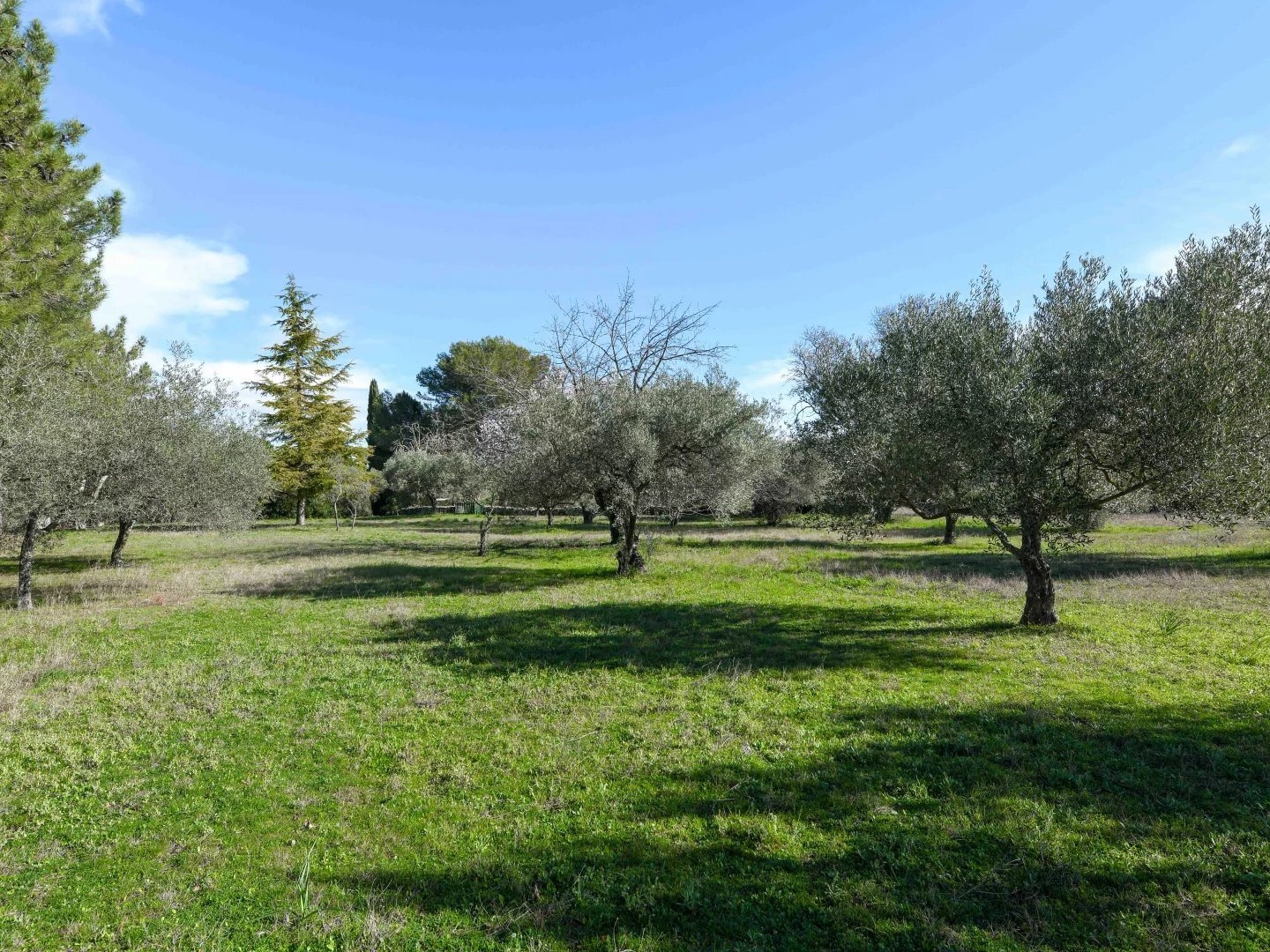 Maison à vendre - 208m2 - Uzès (30700)
