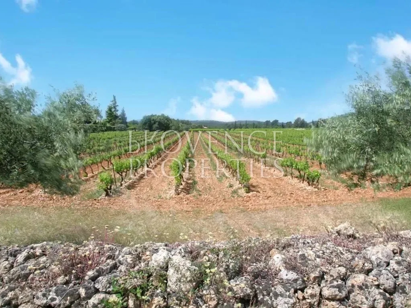 Propriété 9 pièces 270 m²