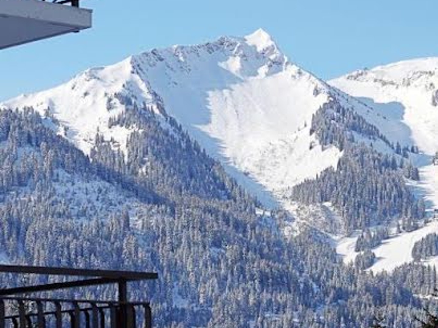 Magasin à vendre - 931m2 - Châtel (74390)